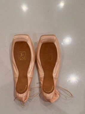 New Gaynor Minden Pointe Shoes - Pink shank